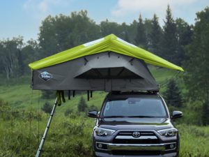 Treeline Ponderosa - Mietzelt Nr. 61 (Grau / Limette)