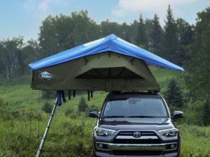 Treeline Ponderosa - Mietzelt Nr. 48 (Fichte / Blau)