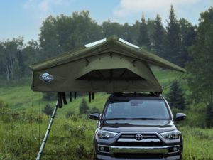 Treeline Ponderosa - Mietzelt Nr. 52 (Fichte / Fichte)