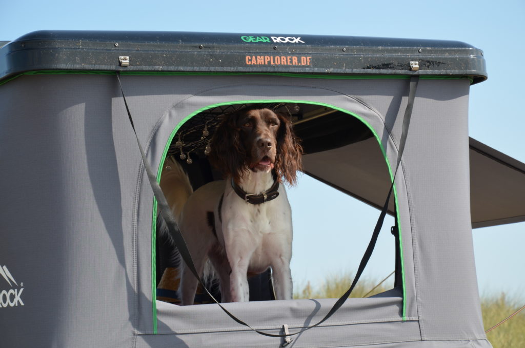 Dachzelt mieten mit Hund