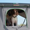 Dachzelt mieten mit Hund