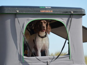 Dachzelt mieten mit Hund